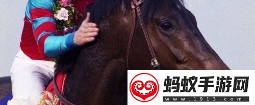 老婆马“没了”赛马娘原型冠军马去世