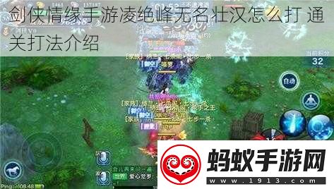 剑侠情缘手游凌绝峰无名壮汉怎么打通关打法介绍