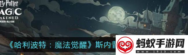 哈利波特