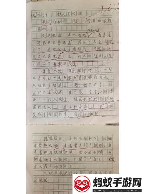 换母荡元宵猜谜嗨翻五感网友热议